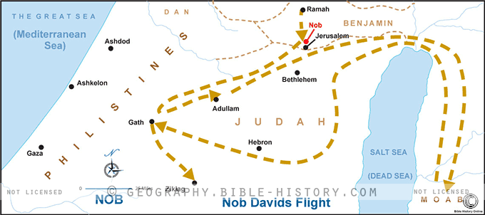 Nob Davids Flight hero image