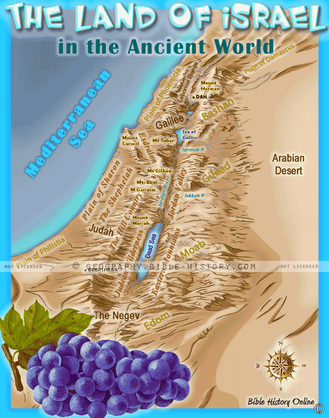 The Land of Israel hero image